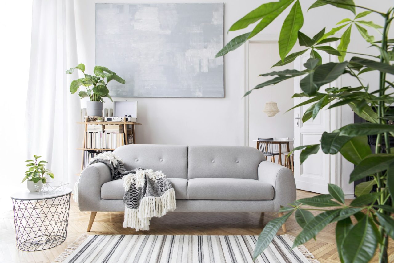 Living Room Interior